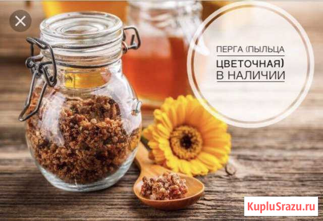 Перга Суздаль - изображение 1