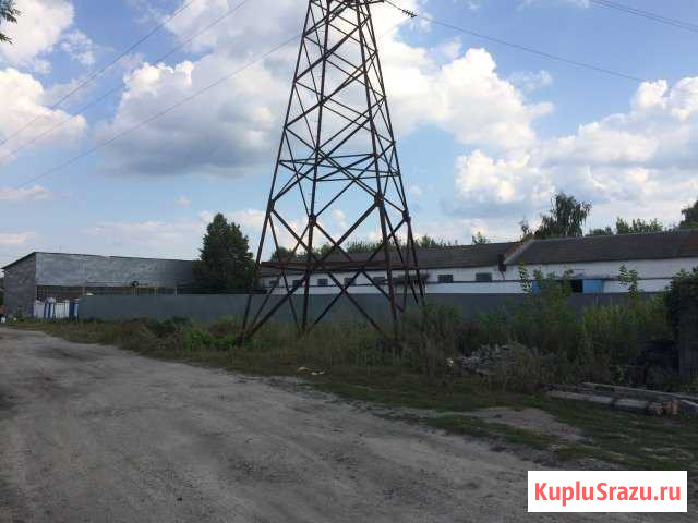 Помещение свободного назначения, 1200 кв.м. Рамонь - изображение 1