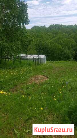  Петропавловск-Камчатский - изображение 1