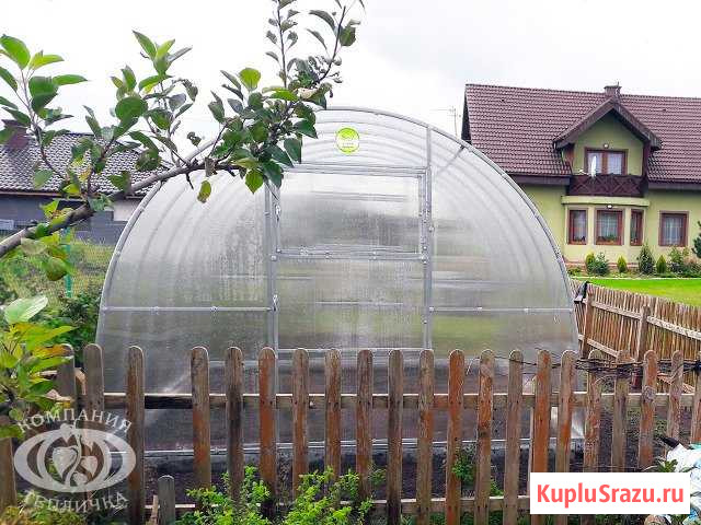 Теплица оцинкованная от производителя Калининград - изображение 1