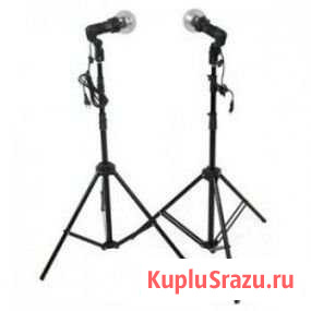 Raylab RP-Mini Passport III Kit Костомукша - изображение 1