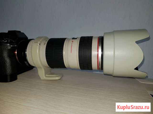 Canon EF 70-200mm. f1:4 USM Находка - изображение 1