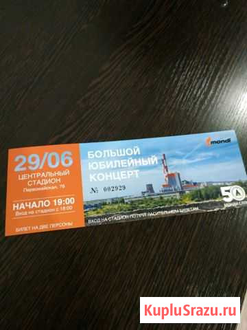 Билет Сыктывкар - изображение 1