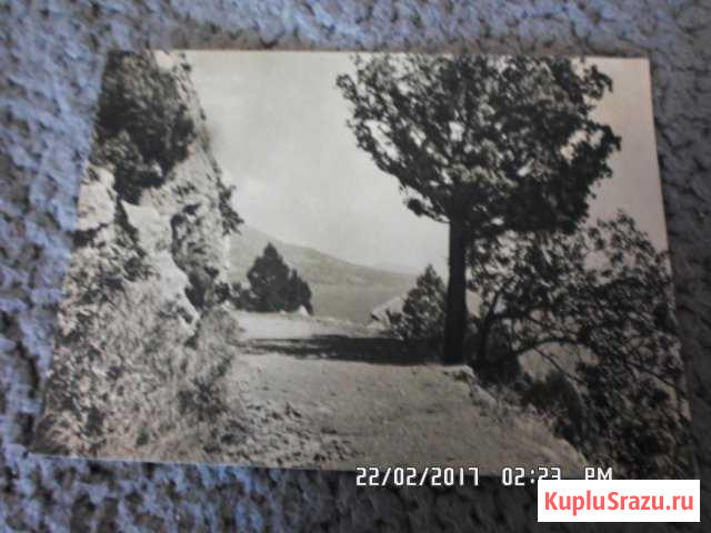 Старые почтовые карточки (ялта) Севастополь - изображение 1
