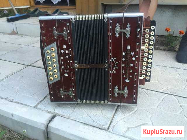Гармонь Саранск - изображение 1