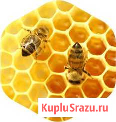 Вощина Сорочинск - изображение 1