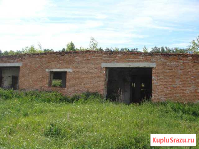 Продам двор Наровчат - изображение 1