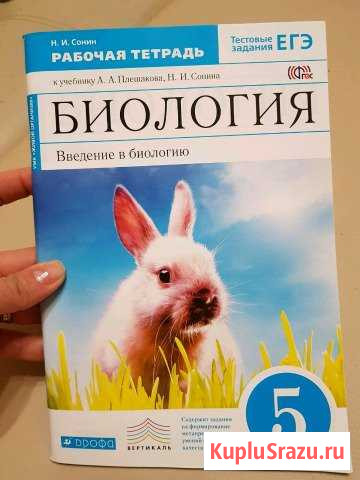 Рабочая тетрадь Жигулевск - изображение 1