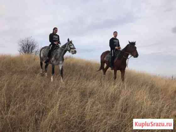 Ищу партнера Ставрополь