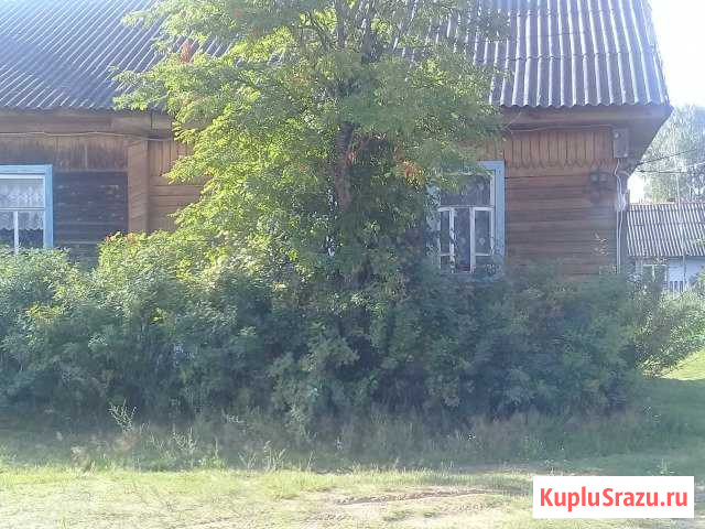  Пено - изображение 1
