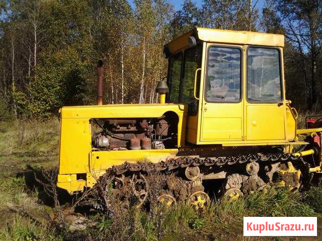 Дт 75 Казахстанец Козлово - изображение 1