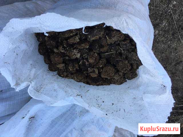 Конский Навоз С доставкой Тверь - изображение 1