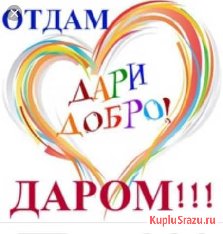Отдам вещи бесплатно Томск - изображение 1