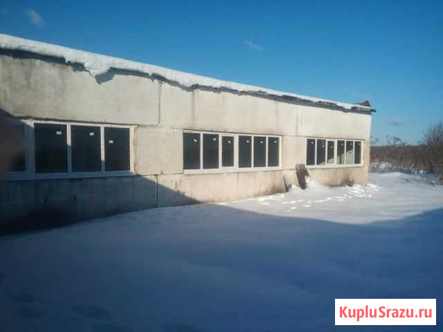 Животноводческий комплекс на 1000 голов kpс Москва - изображение 1