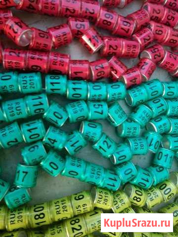 Кольца для голубей Домодедово - изображение 1