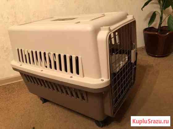 Переноска Одинцово