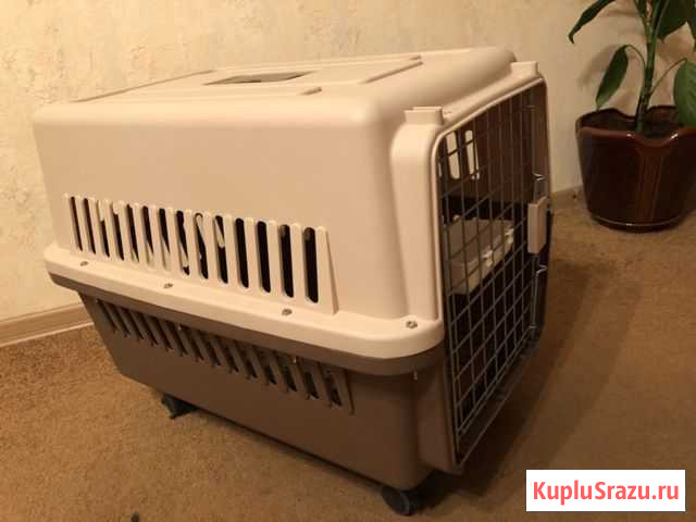 Переноска Одинцово - изображение 1