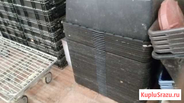 Ящики пластик 90л и 60л(Сибтек). Термоконтейнеры Мещерино - изображение 1