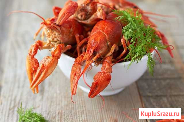 Раки Щербинка - изображение 1