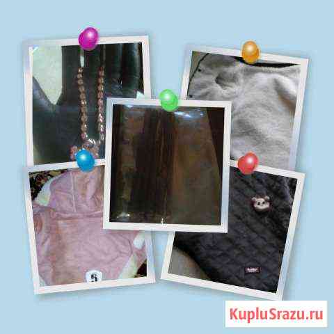 Дублёнка, курточка, ожерелье для собачки, лакомств Ногинск