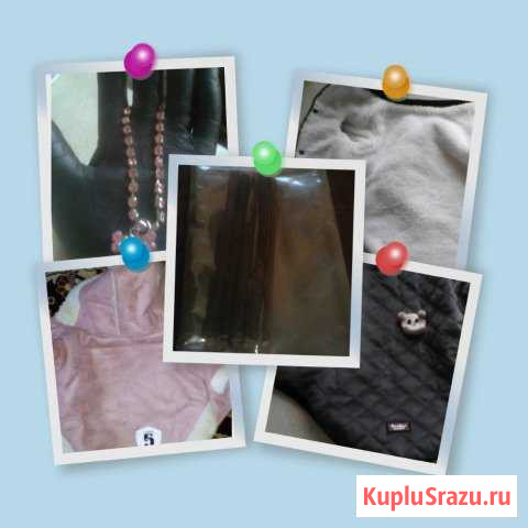 Дублёнка, курточка, ожерелье для собачки, лакомств Ногинск - изображение 1