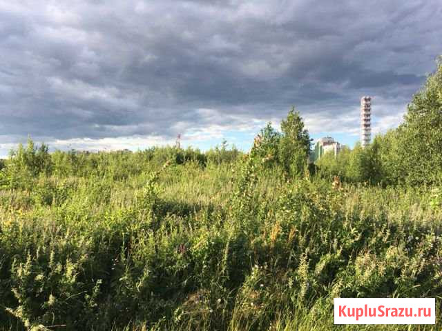  Санкт-Петербург - изображение 1