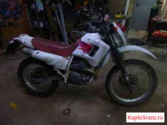 Honda xl 250 degree Речицы