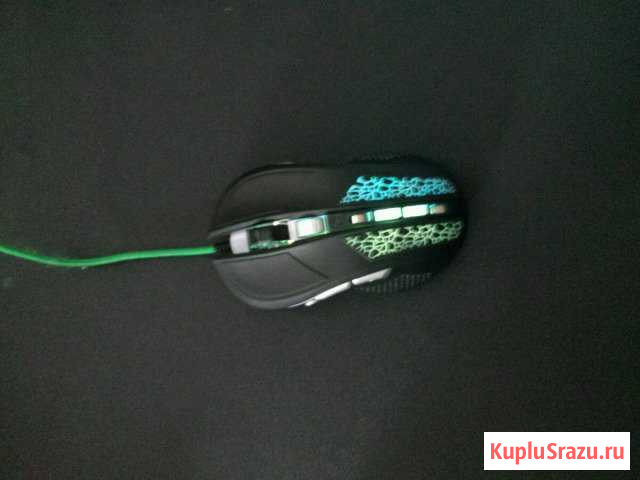 Qumo Trex Тимашевск - изображение 1