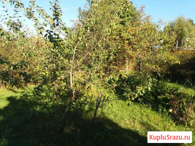 Дача 45 кв.м. на участке 8.5 сот. Красноармейск - изображение 1