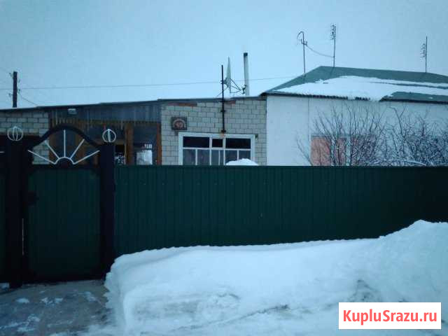  Кулунда - изображение 1