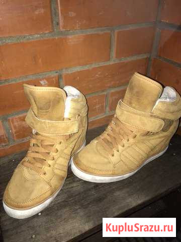 Кроссовки Adidas Кокошкино - изображение 1