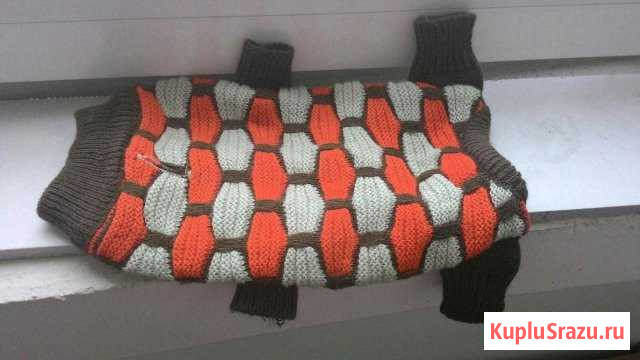 Свитер для мелких собак и кошек одежда животным Люберцы - изображение 1