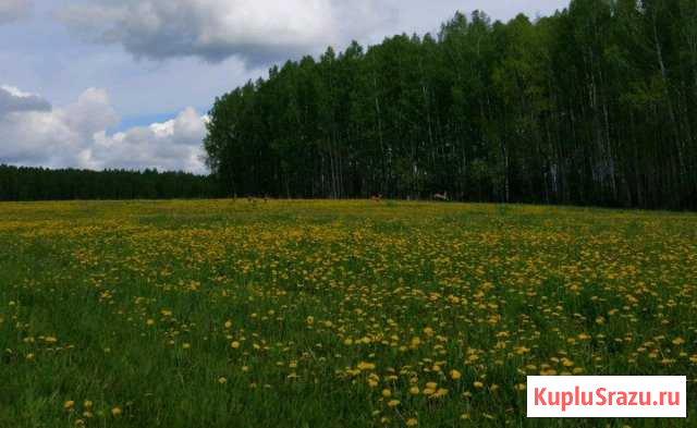  Первоуральск - изображение 1