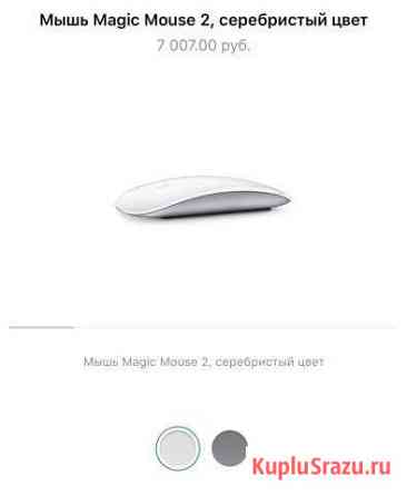 Мышь Apple Сочи