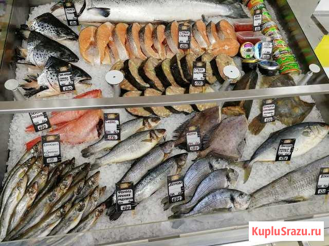 Продаю холодильная витрина  стол рыба на льду Лабинск - изображение 1