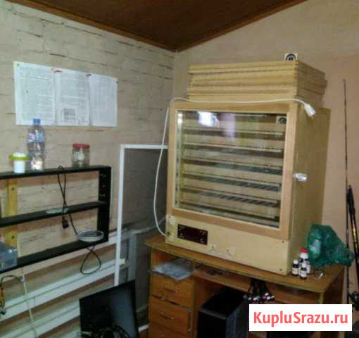 Инкубатор фермерский Курганинск - изображение 1