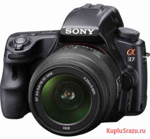 Sony Alpha SLT-A37 Kit Нижнекамск