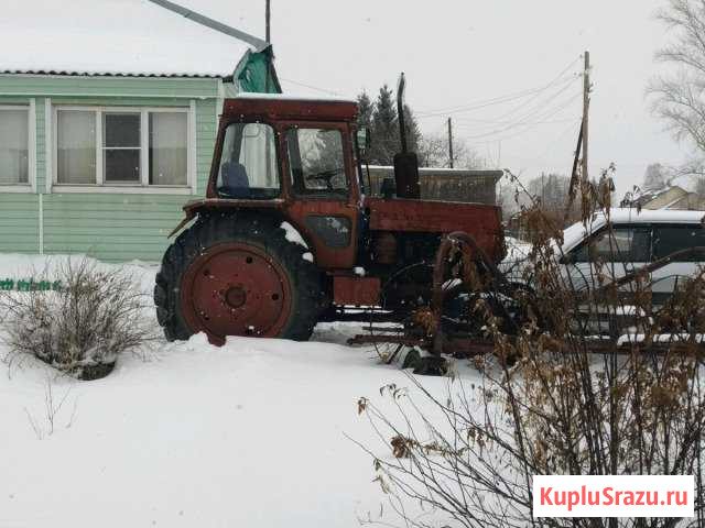 Лтз-60ав Бийск - изображение 1