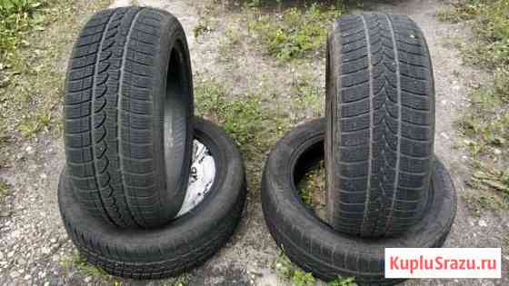 Tigar winter, 215/55 R17 Свободный