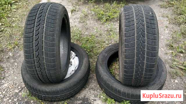 Tigar winter, 215/55 R17 Свободный - изображение 1