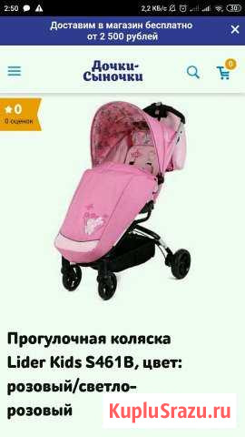 Коляска Волжский - изображение 1