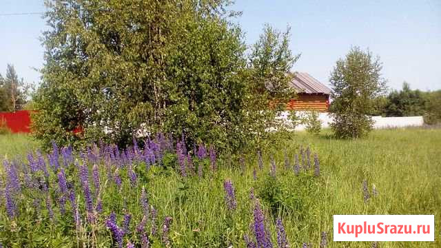  Дальнее Константиново - изображение 1