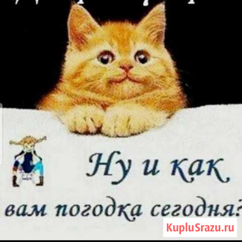 Требуются расклейщики обьявлерий Бердск - изображение 1