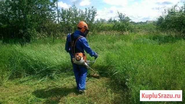 Скос тровы тримером Камень-на-Оби - изображение 1