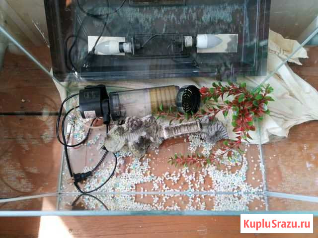 Аквариум Белогорск - изображение 1