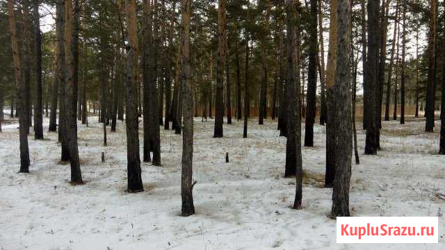  Белореченский - изображение 1