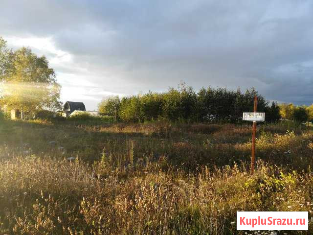  Петропавловск-Камчатский - изображение 1