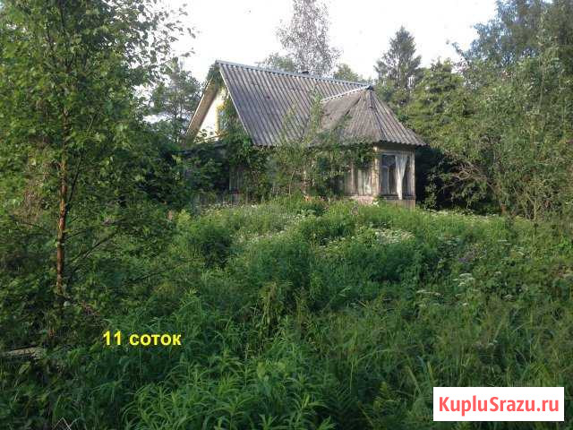  Сертолово - изображение 1