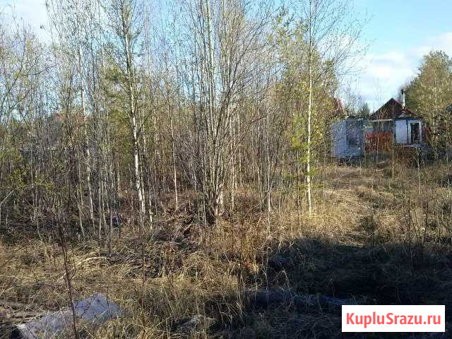  Архангельск - изображение 1