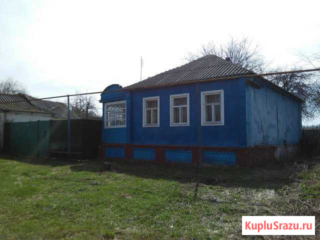 Дом 56 кв.м. на участке 50 сот. Бехтеевка - изображение 1